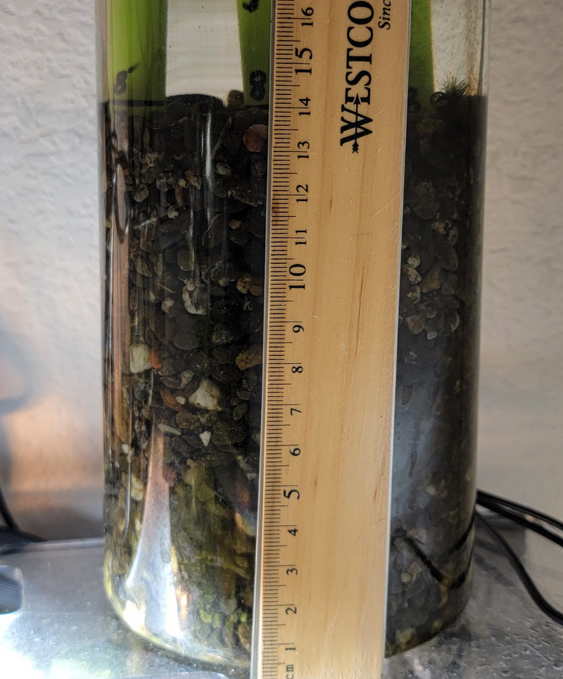 Container with 14 cm of pea gravel