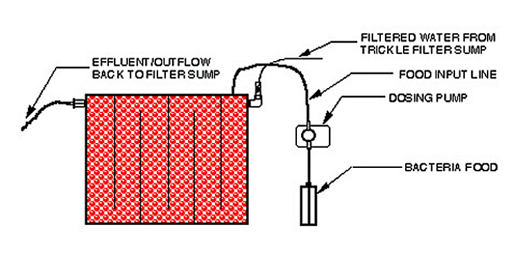 The Denitrator