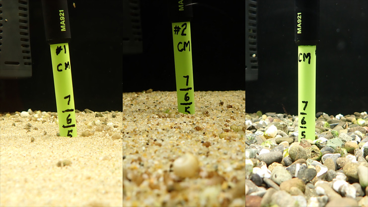 Substrate sizes used in experiment.