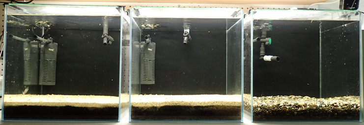 12 gallon lab tanks