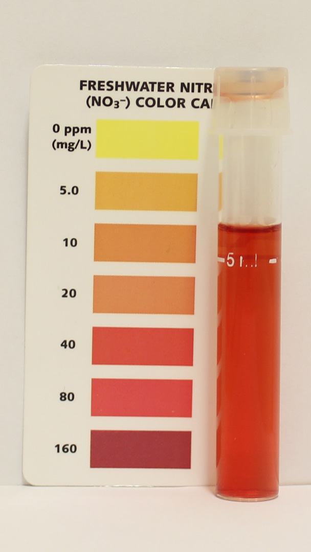 API Nitrate Test Result