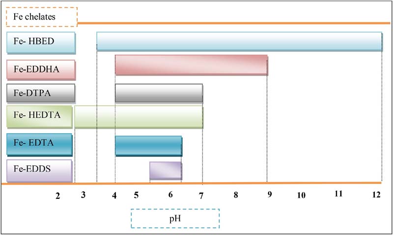 Iron Chelates