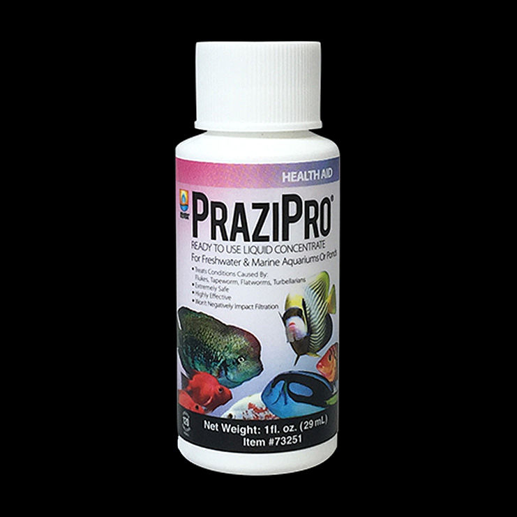 PraziPro